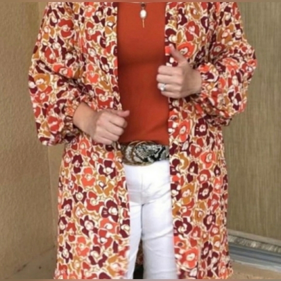 CAbi "Daydream" A-Line Midi Dress Size Medium, Style #4238, Colorful, Autumn - Picture 14 of 14